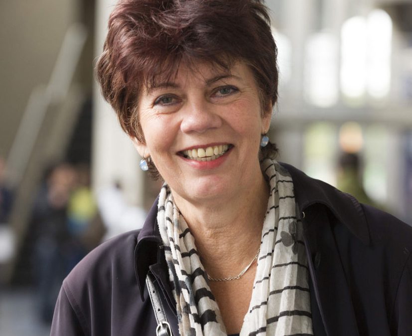 Valedictory Lecture Prof. Maria Grever (Erasmus University Rotterdam) – Friday 19 February 2021