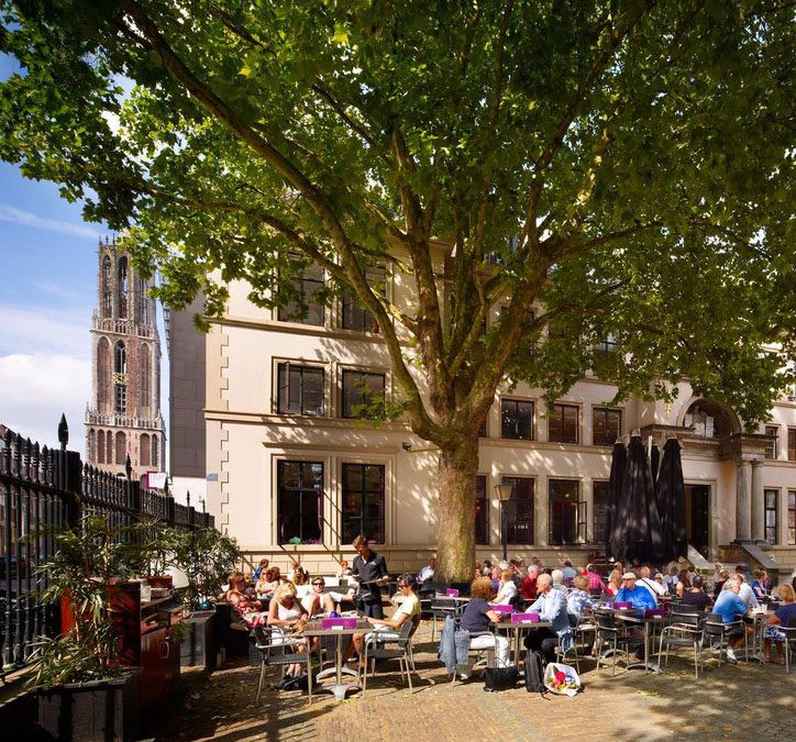 Social event for all Huizinga members – 15 June 2022