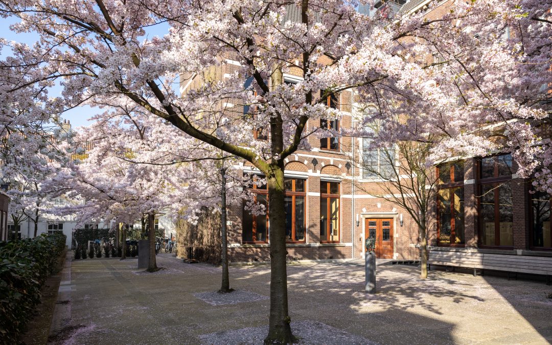 Save the date: Huizinga Institute PhD conference – 8-9 April 2024