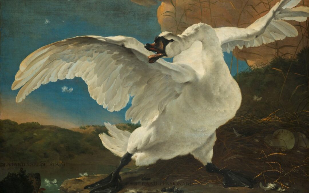 Tentoonstelling Dordrechts Museum: De wereld van Johan de Witt. Kunst uit het hart van de 17de eeuw (27 april – 26 oktober 2025)